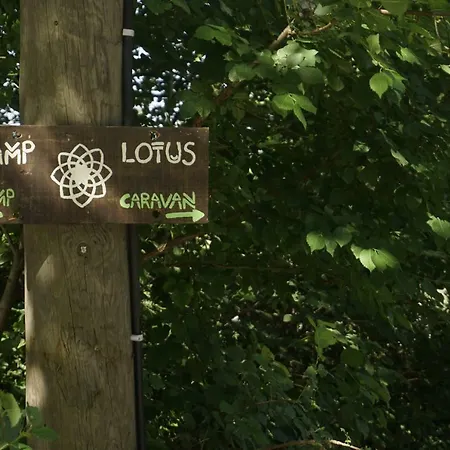Kamp Lotus Campeggio